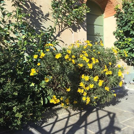 Casa Mita Con Pacchetto Mare Incluso Villa Camaiore Exteriör bild