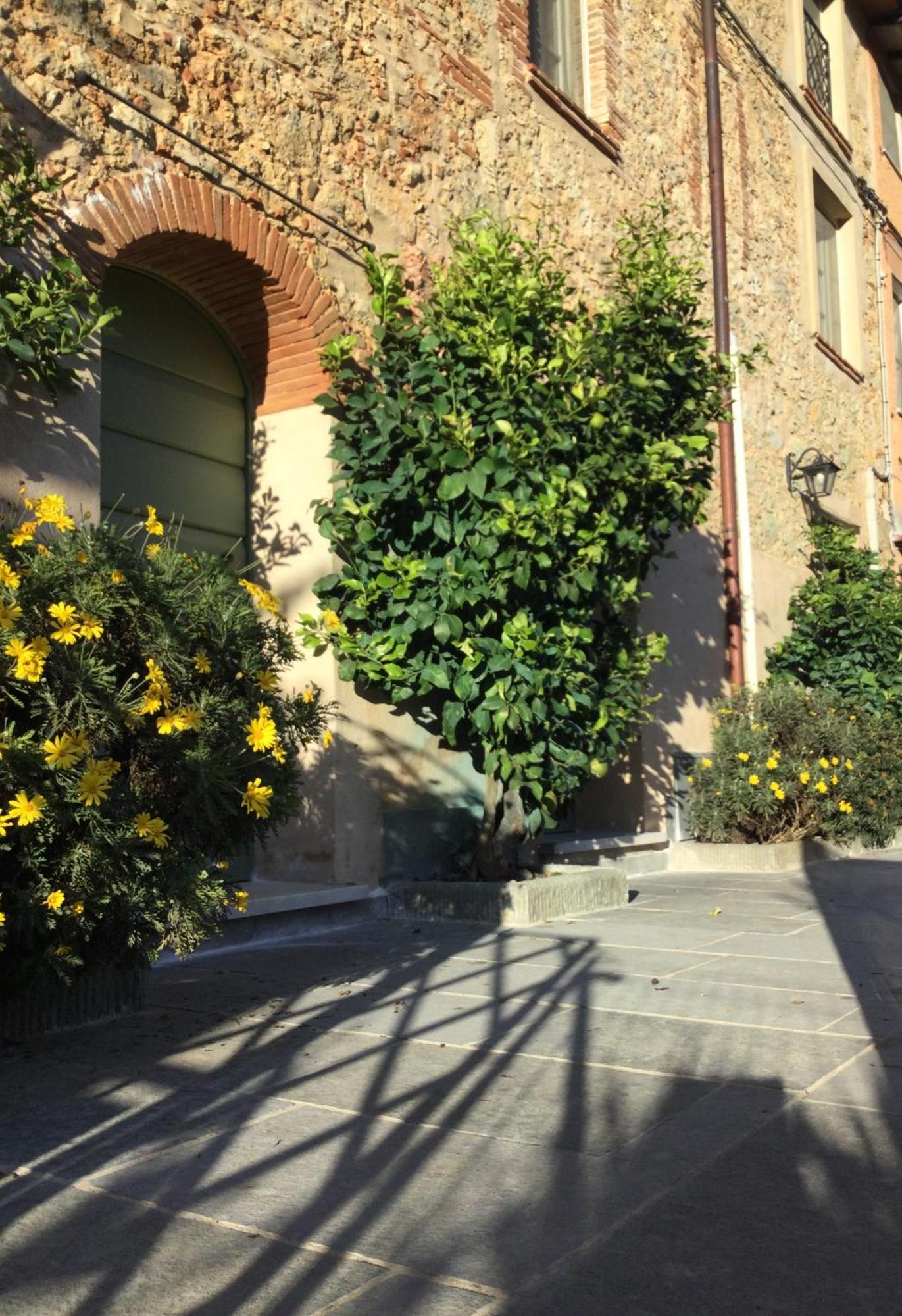 Casa Mita Con Pacchetto Mare Incluso Villa Camaiore Exteriör bild